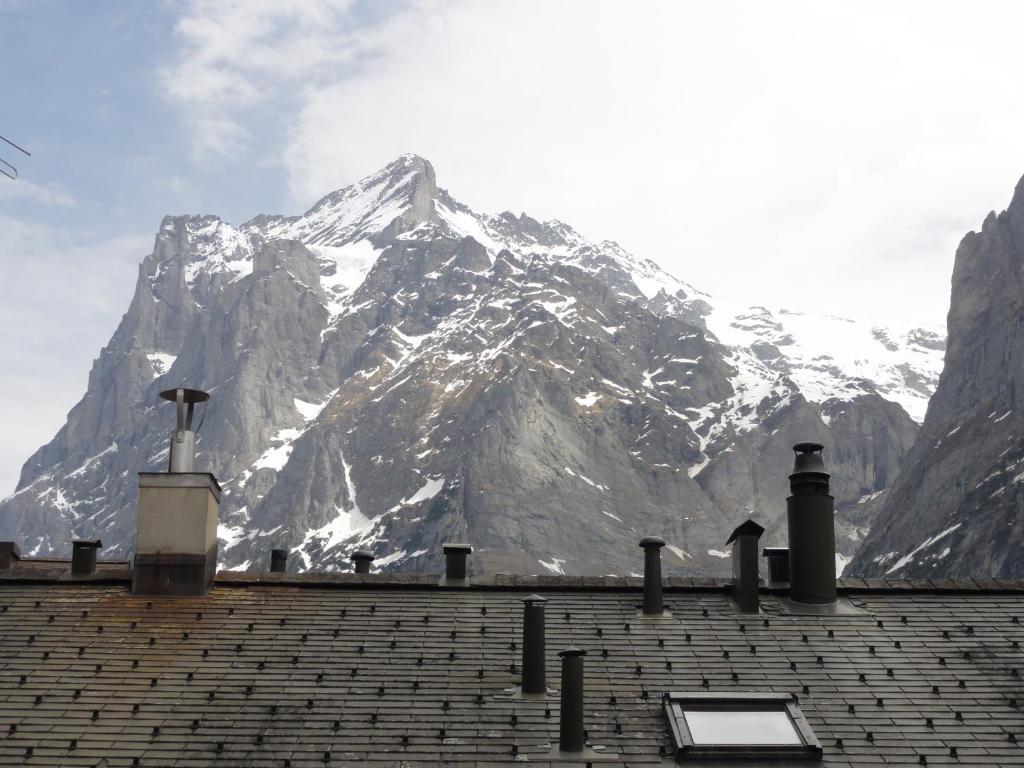 Hotel Steinbock กรินเดลวัลด์ ภายนอก รูปภาพ
